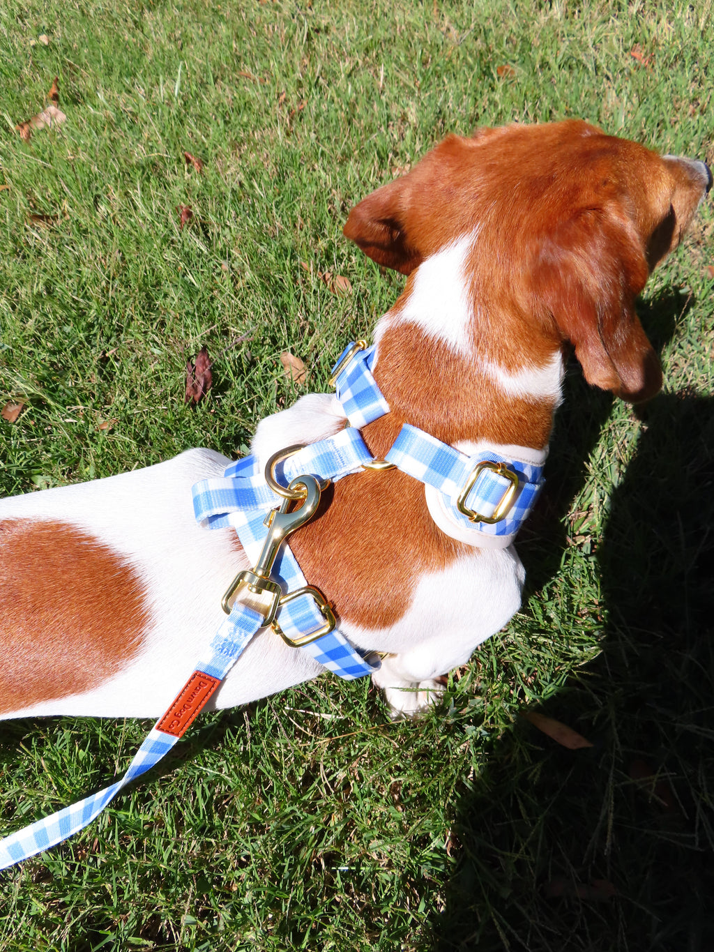 BlueBell Duck Harness