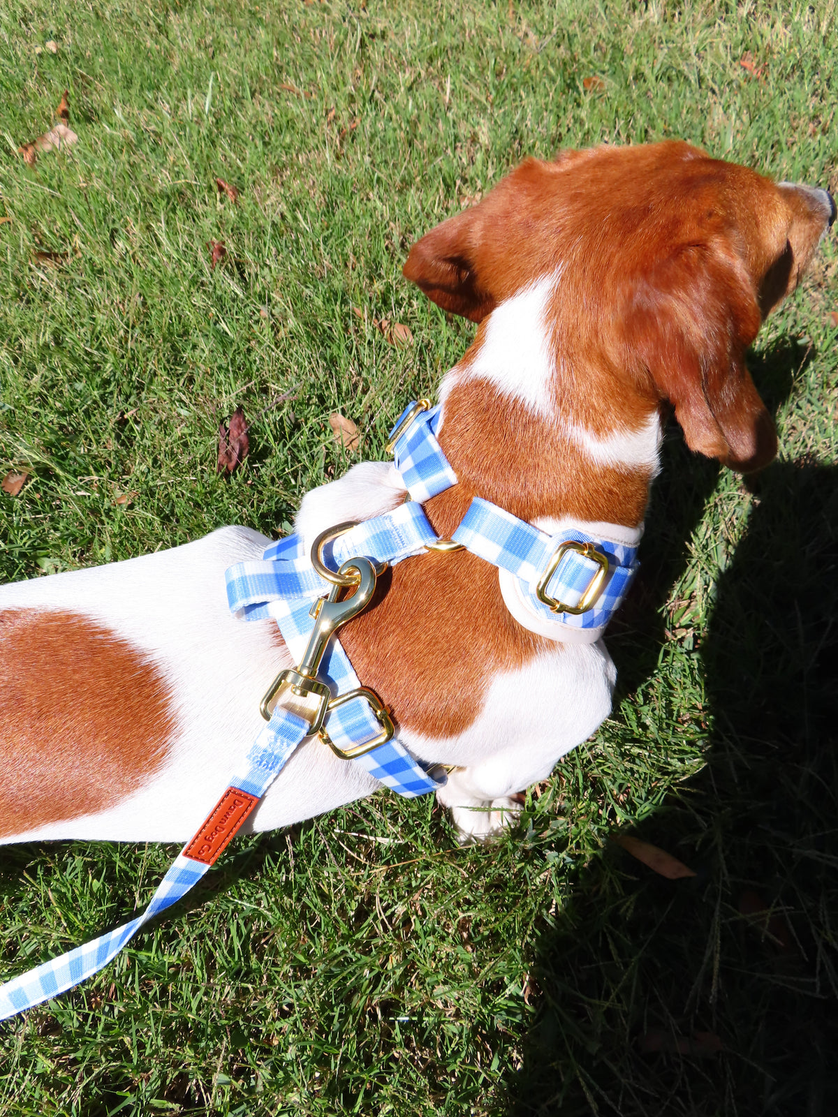 BlueBell Duck Harness