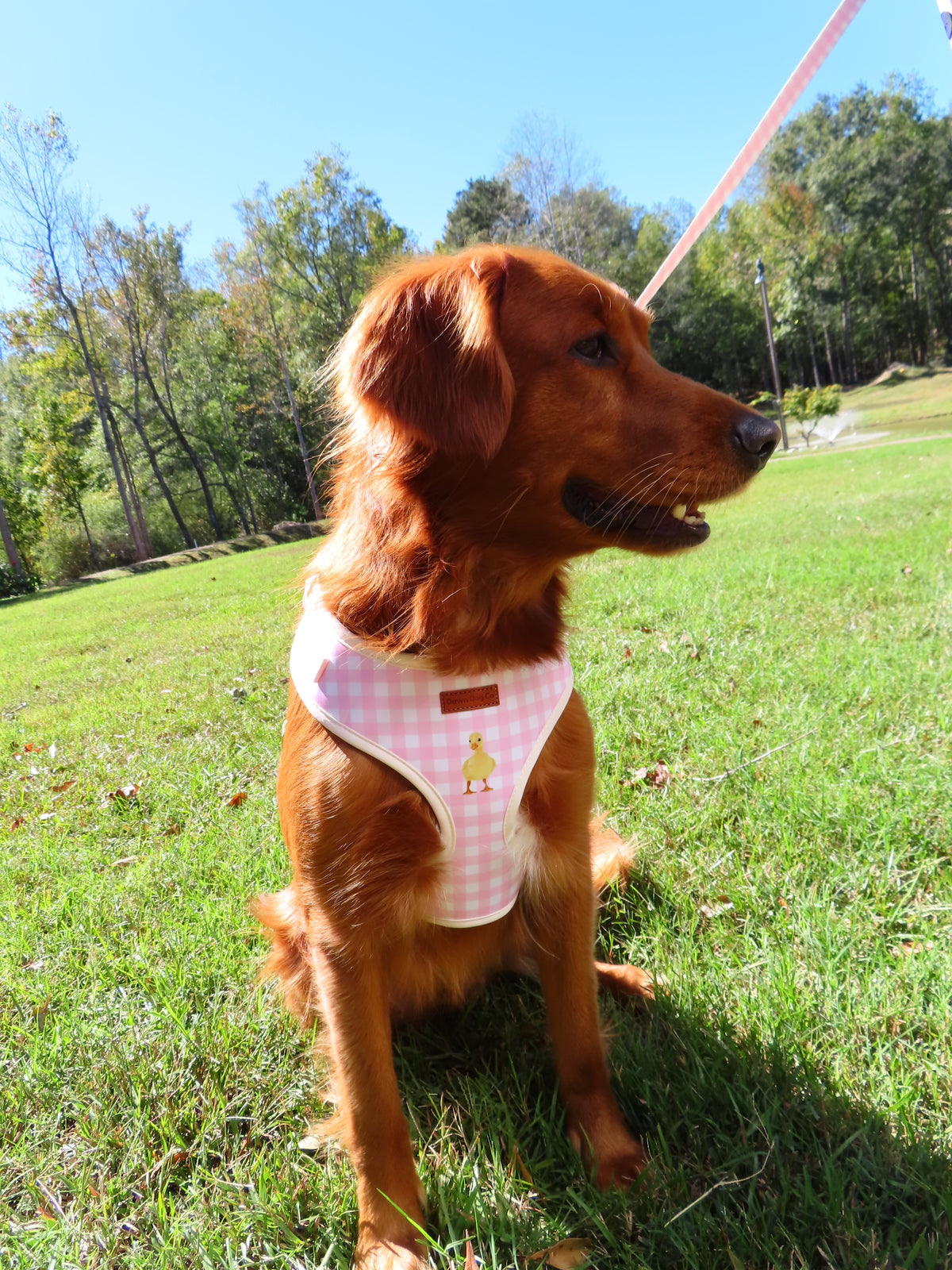 Pink Duck Gingham